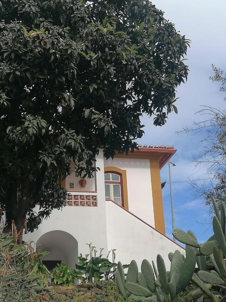 Quinta Do Americano Sardoal Esterno foto